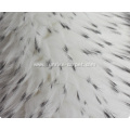 Imitation Fur with Polyester